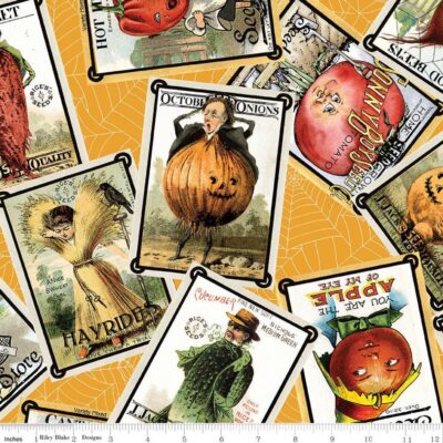 Pumpkin Patch Orange Seed Pack Toss