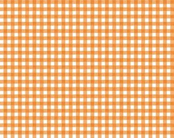 Pumpkin Patch Orange Gingham