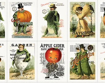 Pumpkin Patch White Seed Packs Patch