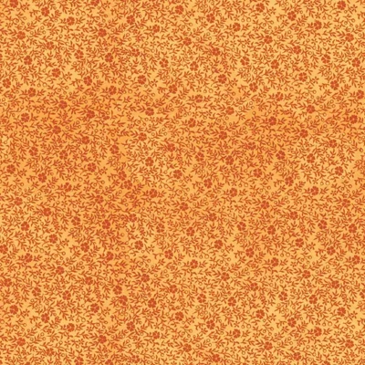 Pumpkin Patch Orange Inside Cover